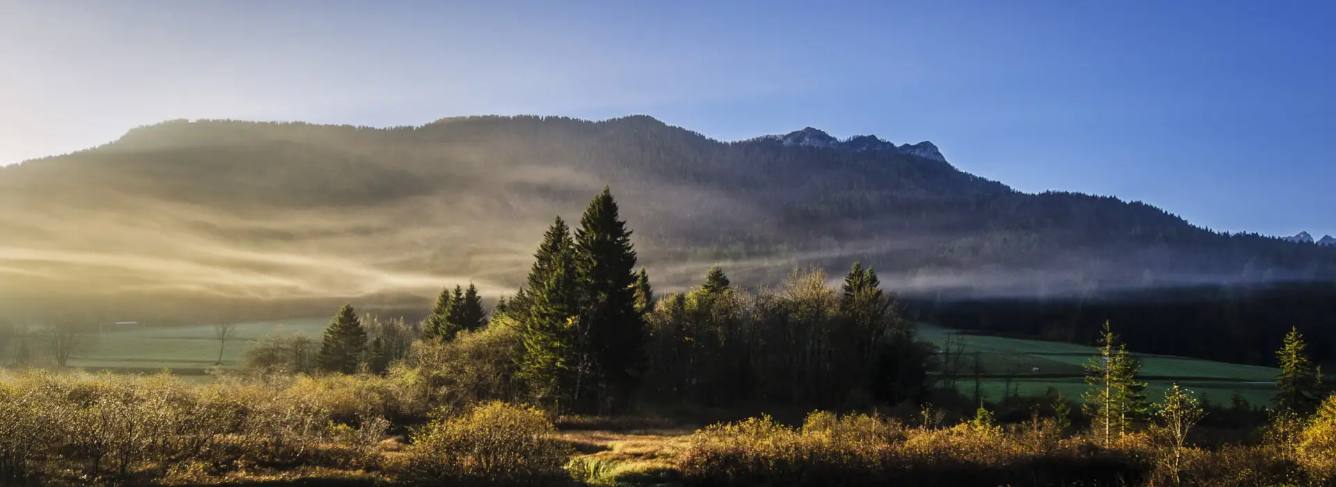 nature 9