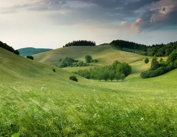 nature 5