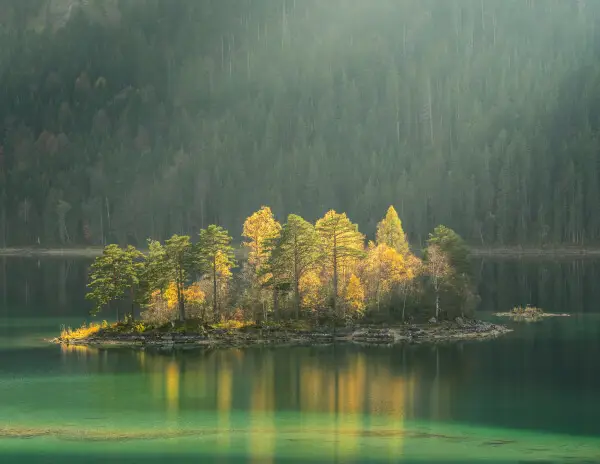 nature 6